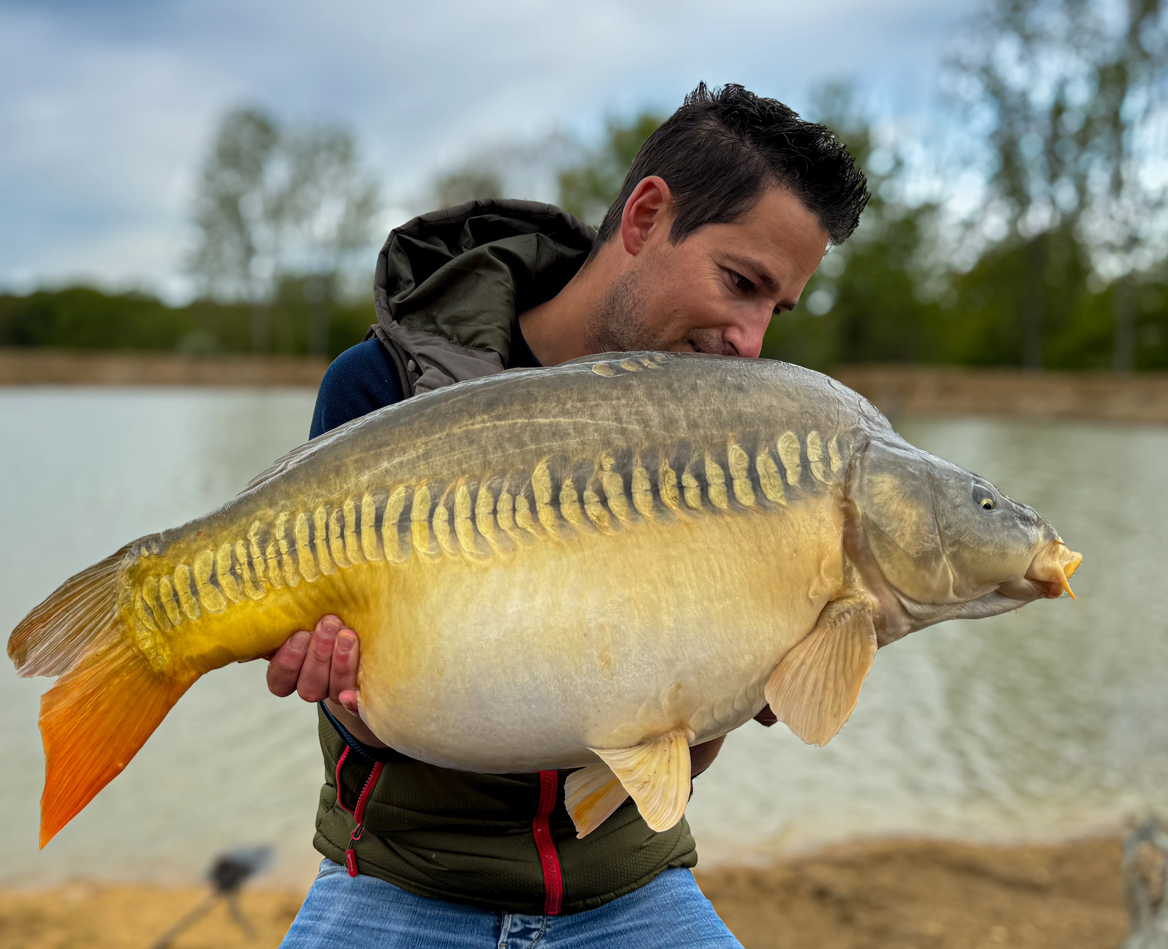 Carpe rare dans l’étang des 3 Écailles, étang de pêche à la carpe à Villerest près de Roanne